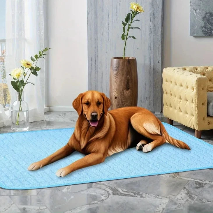 Tapis rafraîchissant pour chien et chat